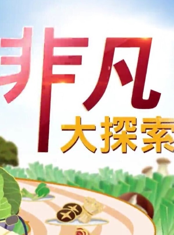 【空姐の恩赐】麻衣空姐！颤抖的淫美肉体！ - 奇止大乳